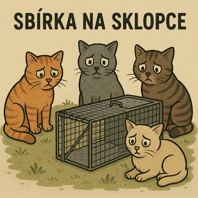 Sbírka na krále skopců, 3x